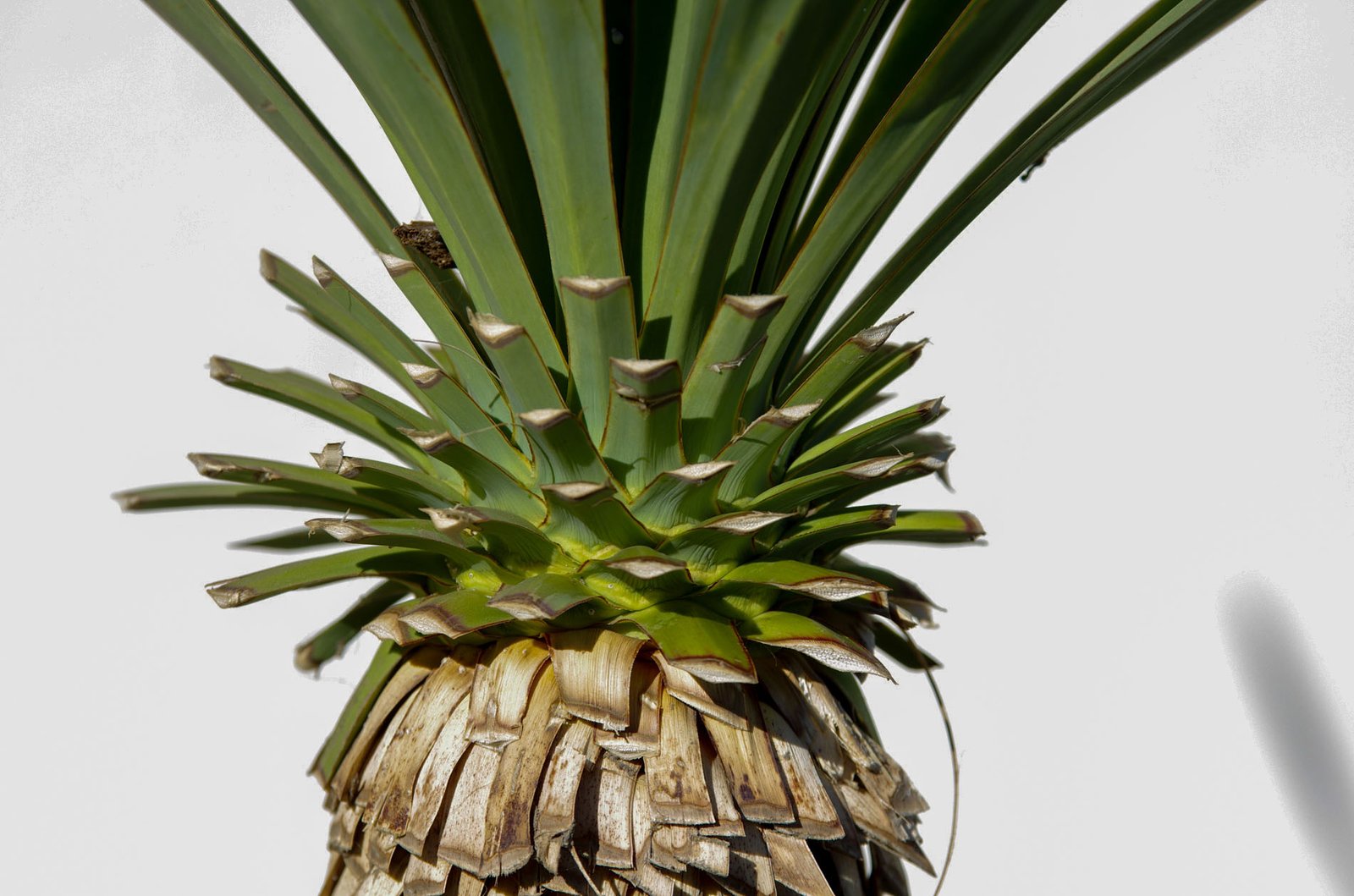 Griffith Observatory  026